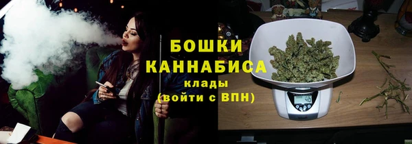 шишки Алексеевка