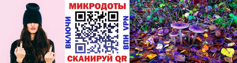купить наркотики цена  Лесозаводск  мега ссылка  дарк нет телеграм  Псилоцибиновые грибы Cubensis 